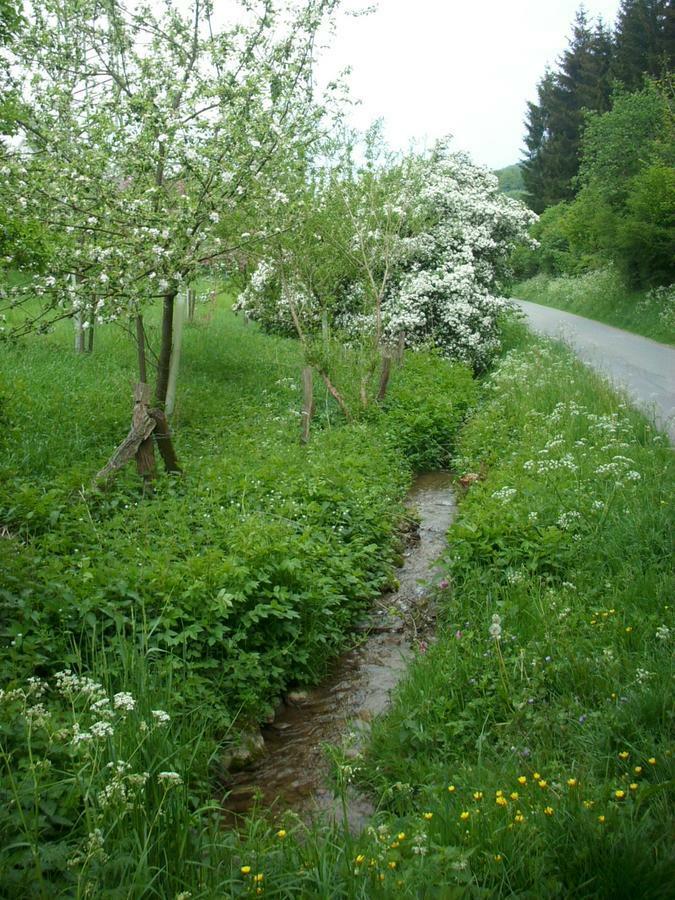Gasthof Susewind Antfeld Luaran gambar
